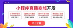 罗永浩直播带货1.1亿元 教你玩转电商直播