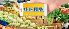 社区团购为什么会被各大电商和零售巨头盯上?